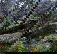 Cathedral Rock Track - Winery Find