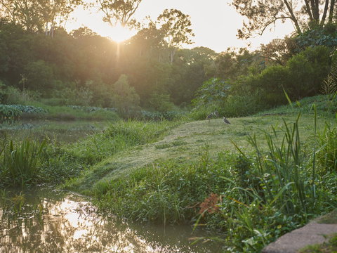 Cribb Park - Winery Find 2