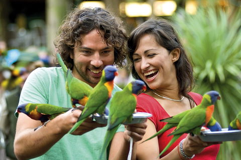 Currumbin Wildlife Sanctuary - Winery Find 0
