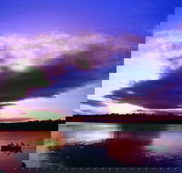 Currumbin Waters - Winery Find
