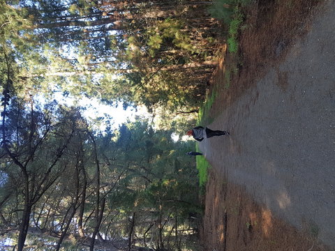 Devilbend Natural Features Reserve - Winery Find 1