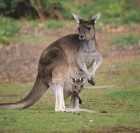 Donnelly River - Winery Find