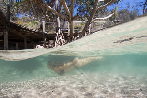 Eli Creek - Winery Find 2