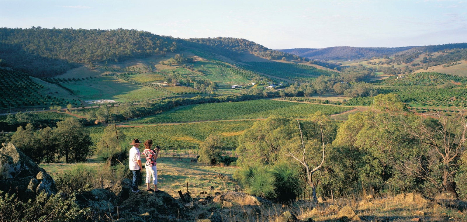 Chittering WA Winery Find