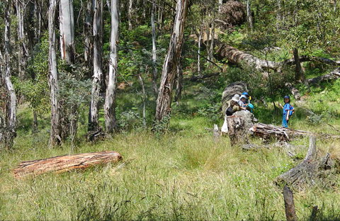 Federal Falls Walk - Winery Find 0