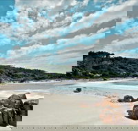 Fishermans Bay foreshore - Winery Find