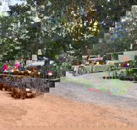 Fred's Pass Rural Market - Winery Find