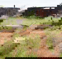 Ghans Bore No7 Govt Bore - Winery Find