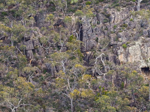 Horsnell Gully And Giles Conservation Parks - Winery Find 0