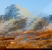 Kambah Pool to Pine Island Walking Trail - Winery Find