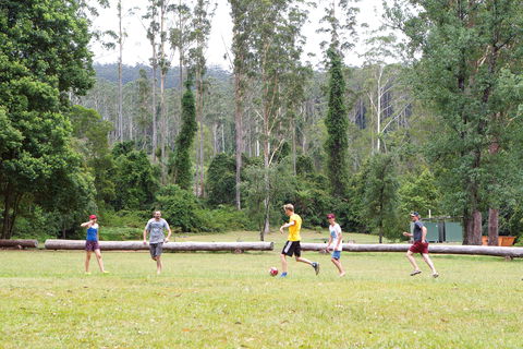 Kerewong State Forest - Winery Find 1