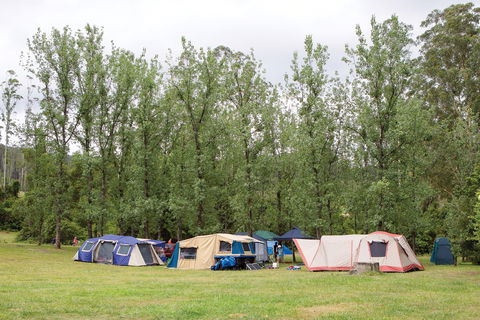 Kerewong State Forest - Winery Find 2