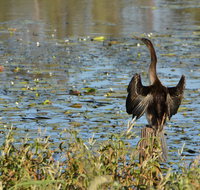 Lake Apex Park - Winery Find