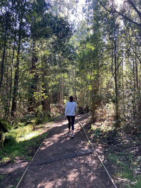 Lyrebird Circuit Walk - Winery Find 0