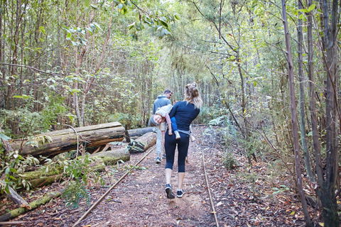 Lyrebird Circuit Walk - Winery Find 1