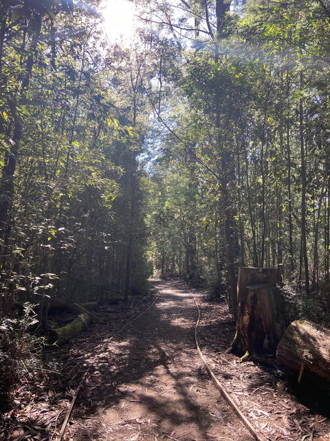 Lyrebird Circuit Walk - Winery Find 2