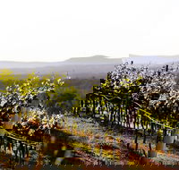 Mount View - Winery Find