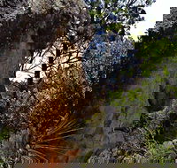 Mystery Face Walking Track - Winery Find