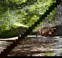 Pickering's Hut and Camping Area - Winery Find