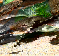 Platypus House - Winery Find