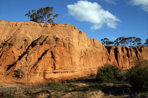 Red Banks Conservation Park - Winery Find 0
