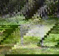 Ritchie's Hut - Winery Find