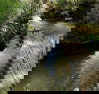 Second Ponds Creek Walk - Winery Find