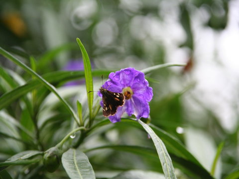 Swainsona Reserve - Winery Find 0