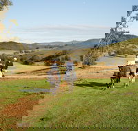 Tamworth and Kootingal Horse Riding Adventures - Winery Find