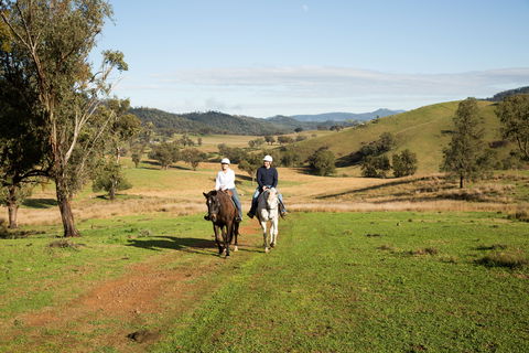 Tamworth And Kootingal Horse Riding Adventures - Winery Find 0