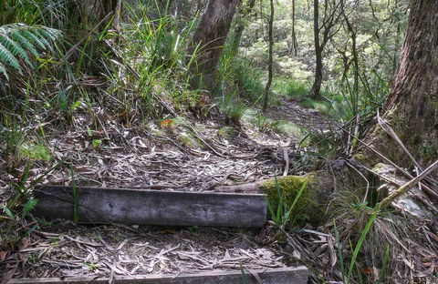 Tea Tree Falls Walking Track - Winery Find 0