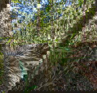 Thylogale Track - Winery Find