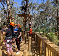 Trees Adventure - Yanchep Park - Winery Find