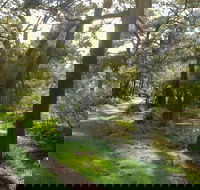 Turon National Park - Winery Find