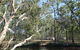 Wongi State Forest - thumb 0