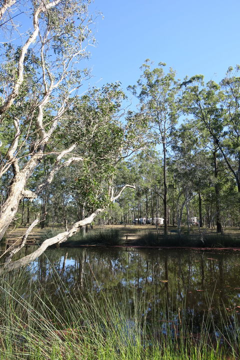 Wongi State Forest - Winery Find 0