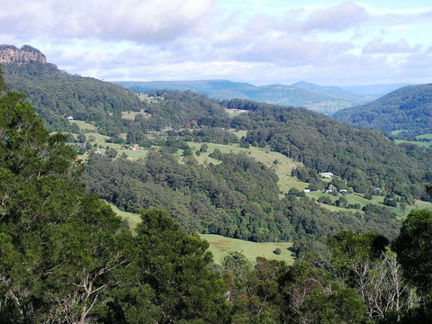 Woodhill - Winery Find 1