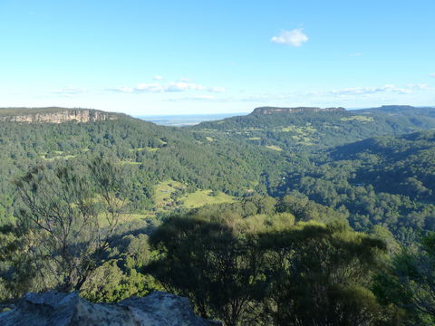 Woodhill - Winery Find 2