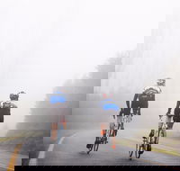 7 Peaks Ride - Lake Mountain - Winery Find