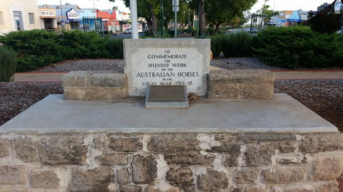 Barmera Horse Trough - Winery Find 0