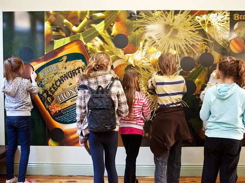 Beechworth Honey Shop - Winery Find 2