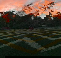 Bellingham Maze - Winery Find