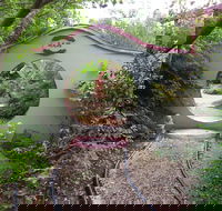 Black Dragon Gardens Wulong Yuan - Winery Find
