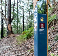 Bulahdelah Mountain Aboriginal Place - Winery Find