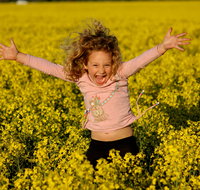 Canola Trail - Winery Find