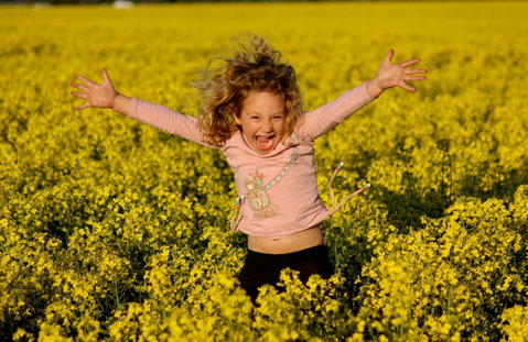 Canola Trail - Winery Find 0