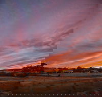 Cape Jervis - Winery Find