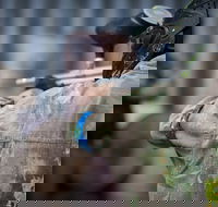 Delta Force Paintball - Winery Find