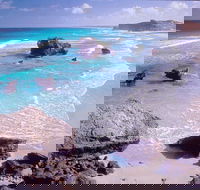 Dhimurru Recreational Area - Winery Find