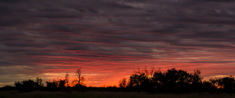 East MacDonnell Ranges - Winery Find 2